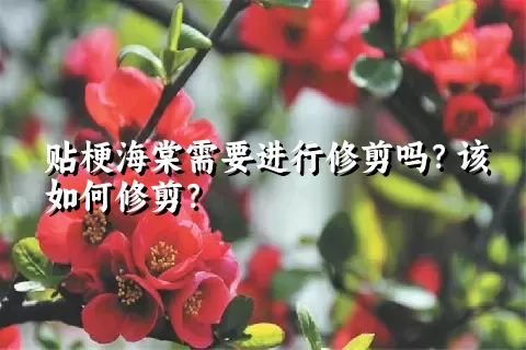 贴梗海棠需要进行修剪吗？该如何修剪？