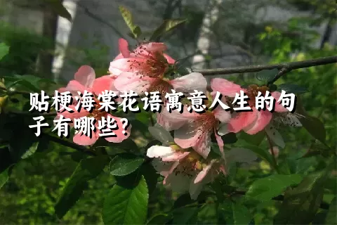 贴梗海棠花语寓意人生的句子有哪些？