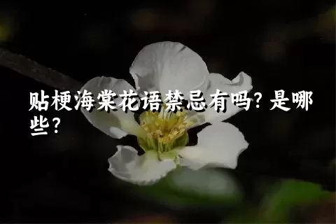 贴梗海棠花语禁忌有吗？是哪些？