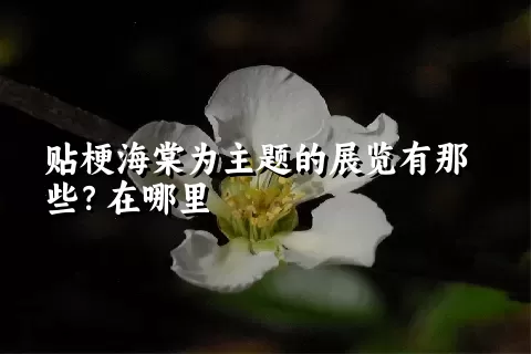 贴梗海棠为主题的展览有那些？在哪里