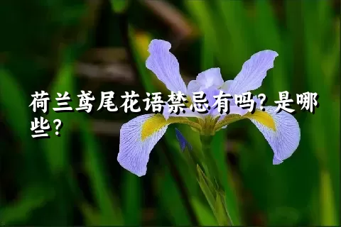 荷兰鸢尾花语禁忌有吗？是哪些？