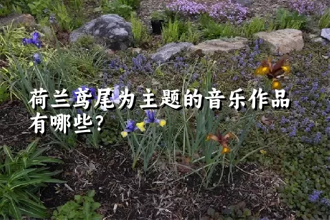 荷兰鸢尾为主题的音乐作品有哪些？