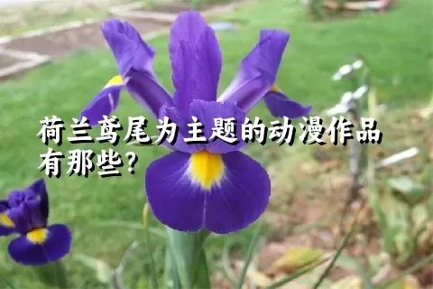 荷兰鸢尾为主题的动漫作品有那些？