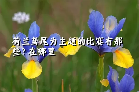 荷兰鸢尾为主题的比赛有那些？在哪里