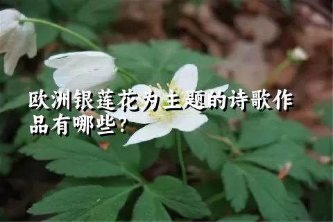 欧洲银莲花为主题的诗歌作品有哪些？