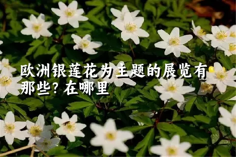 欧洲银莲花为主题的展览有那些？在哪里