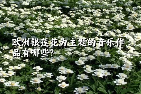 欧洲银莲花为主题的音乐作品有哪些？