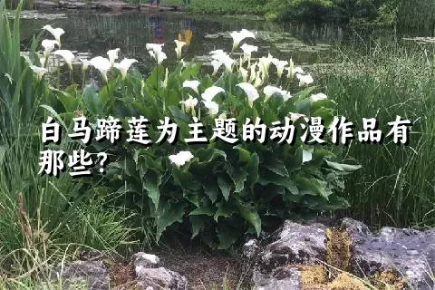 白马蹄莲为主题的动漫作品有那些？