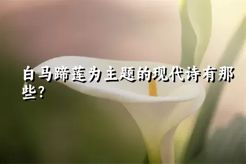 白马蹄莲为主题的现代诗有那些？