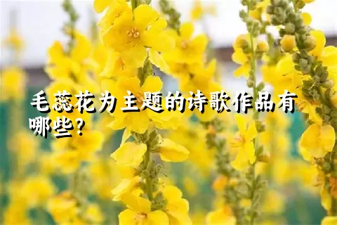 毛蕊花为主题的诗歌作品有哪些？