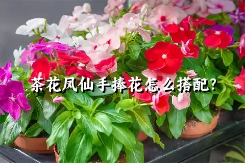 茶花凤仙手捧花怎么搭配？