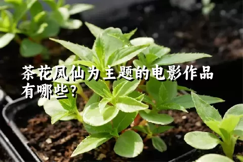 茶花凤仙为主题的电影作品有哪些？