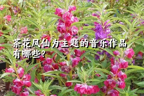 茶花凤仙为主题的音乐作品有哪些？