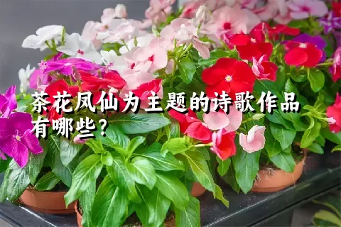 茶花凤仙为主题的诗歌作品有哪些？