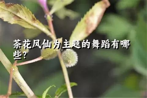 茶花凤仙为主题的舞蹈有哪些？