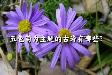 五色菊为主题的古诗有哪些？