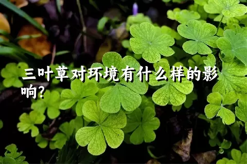 三叶草对环境有什么样的影响？