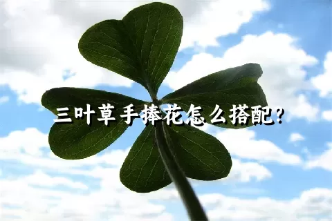 三叶草手捧花怎么搭配？