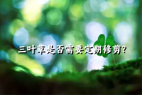 三叶草是否需要定期修剪？