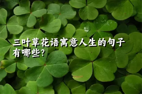 三叶草花语寓意人生的句子有哪些？