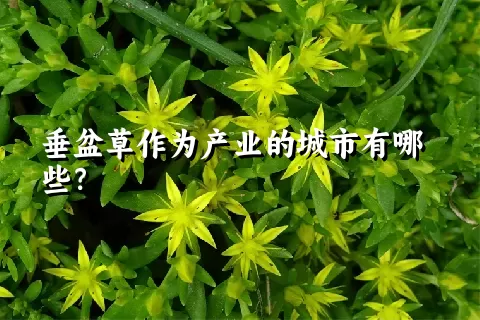 垂盆草作为产业的城市有哪些？