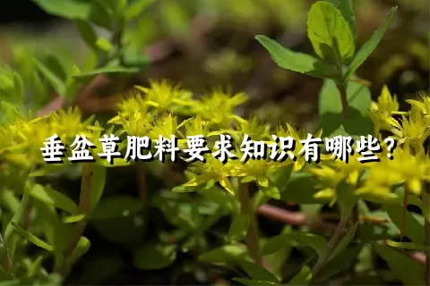 垂盆草肥料要求知识有哪些？