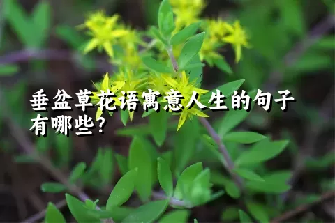 垂盆草花语寓意人生的句子有哪些？