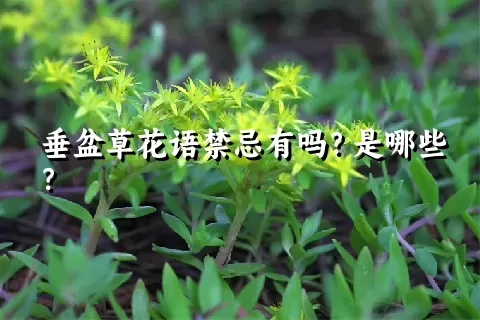 垂盆草花语禁忌有吗？是哪些？