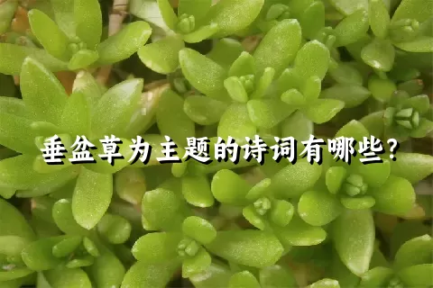 垂盆草为主题的诗词有哪些？