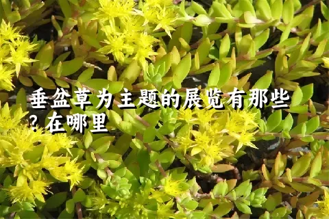 垂盆草为主题的展览有那些？在哪里