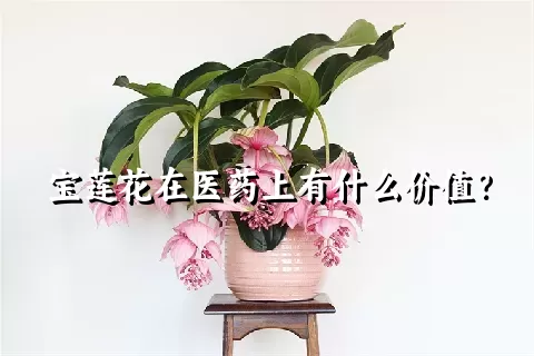 宝莲花在医药上有什么价值？