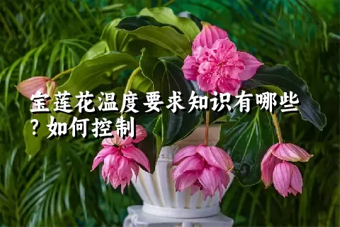 宝莲花温度要求知识有哪些？如何控制