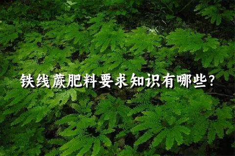 铁线蕨肥料要求知识有哪些？