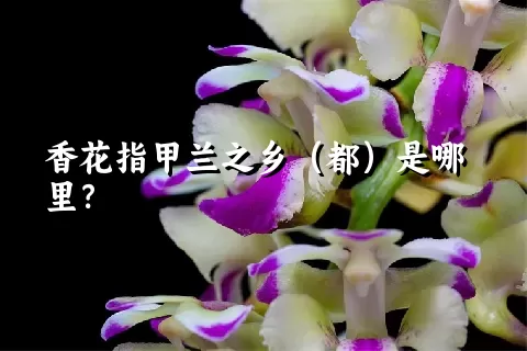 香花指甲兰之乡（都）是哪里？