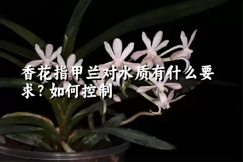 香花指甲兰对水质有什么要求？如何控制