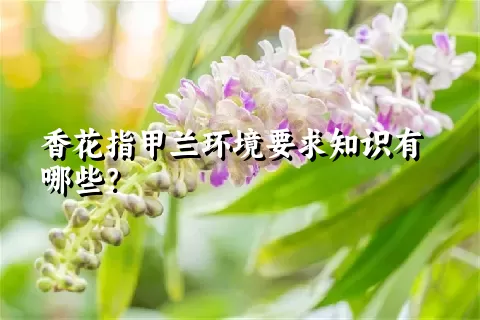 香花指甲兰环境要求知识有哪些？