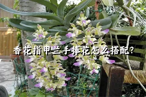 香花指甲兰手捧花怎么搭配？