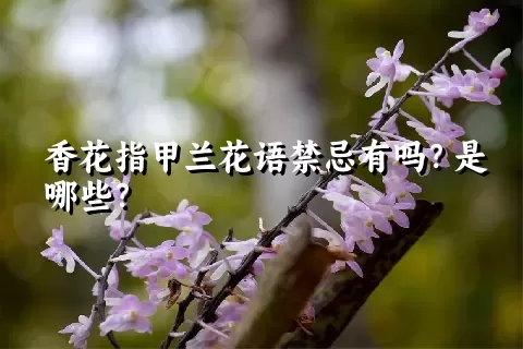 香花指甲兰花语禁忌有吗？是哪些？