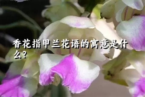 香花指甲兰花语的寓意是什么？