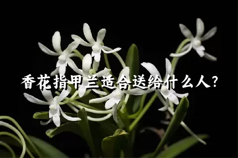 香花指甲兰适合送给什么人？