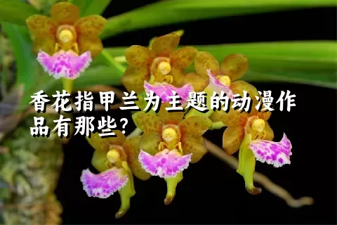 香花指甲兰为主题的动漫作品有那些？