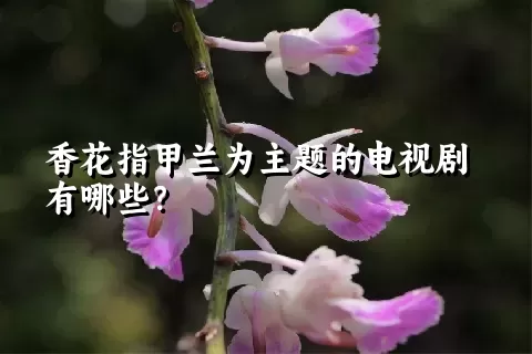 香花指甲兰为主题的电视剧有哪些？