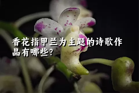 香花指甲兰为主题的诗歌作品有哪些？