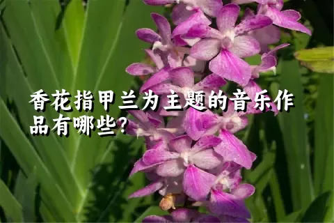 香花指甲兰为主题的音乐作品有哪些？