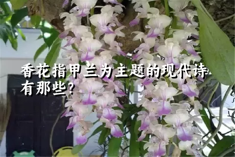 香花指甲兰为主题的现代诗有那些？