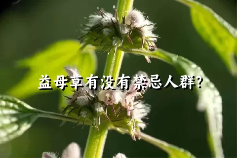 益母草有没有禁忌人群？