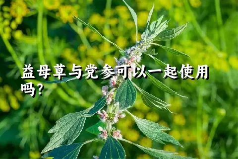 益母草与党参可以一起使用吗？