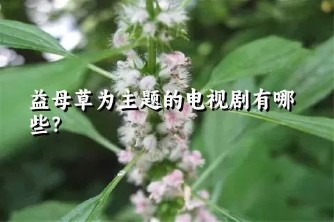 益母草为主题的电视剧有哪些？