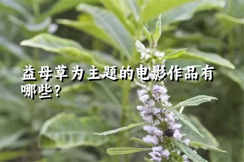 益母草为主题的电影作品有哪些？