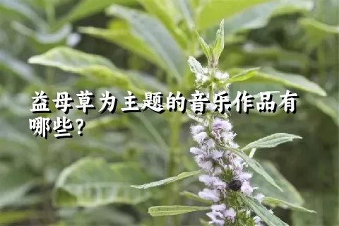 益母草为主题的音乐作品有哪些？